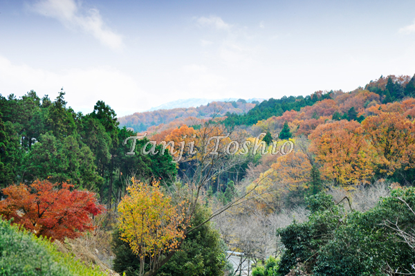 嵐山渓谷